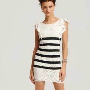 BCBGMAXAZRIA Renata lace dress ❣️